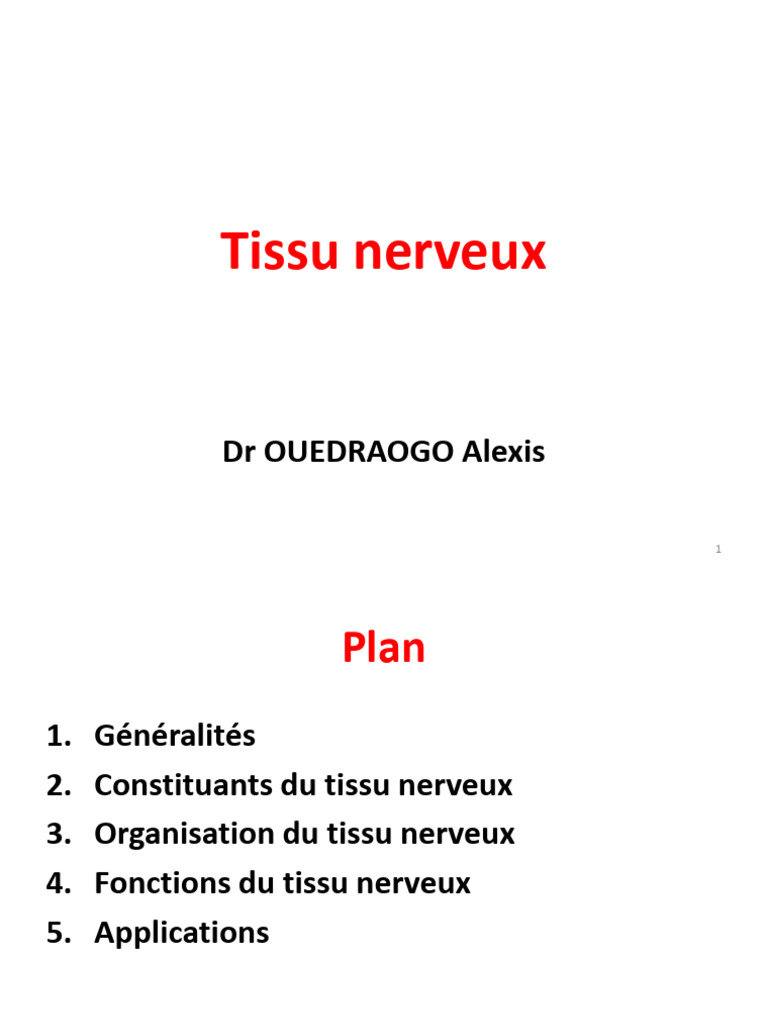 Le Tissu Nerveux - Vue Générale | PDF | Nerf | Système nerveux