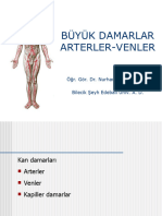 1.BÜYÜK DAMARLAR-ARTERLER-VENLER - Aorta