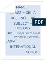 Dispersal of Seeds by Various Agencies