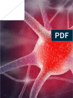 PDF Contoh Proposal Klinik Fisioterapi - Compress