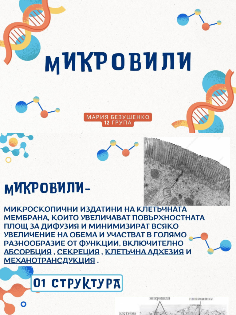 Микровили | PDF