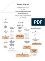 Patofisiologi Hiv