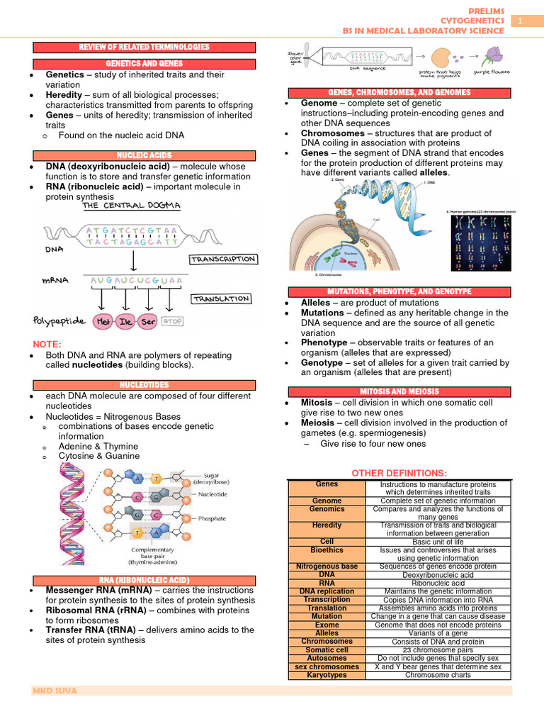 Cytogenetics Prelims Transes Suva | PDF | Science & Mathematics