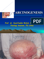 CARCINOGENESIS (NEOPLASM 2)