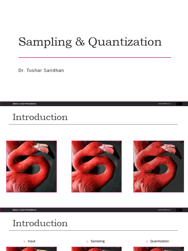 Lec4 Quant PDF Sampling (Signal Processing) Information And