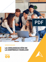 La Organización de La Empresa Familiar