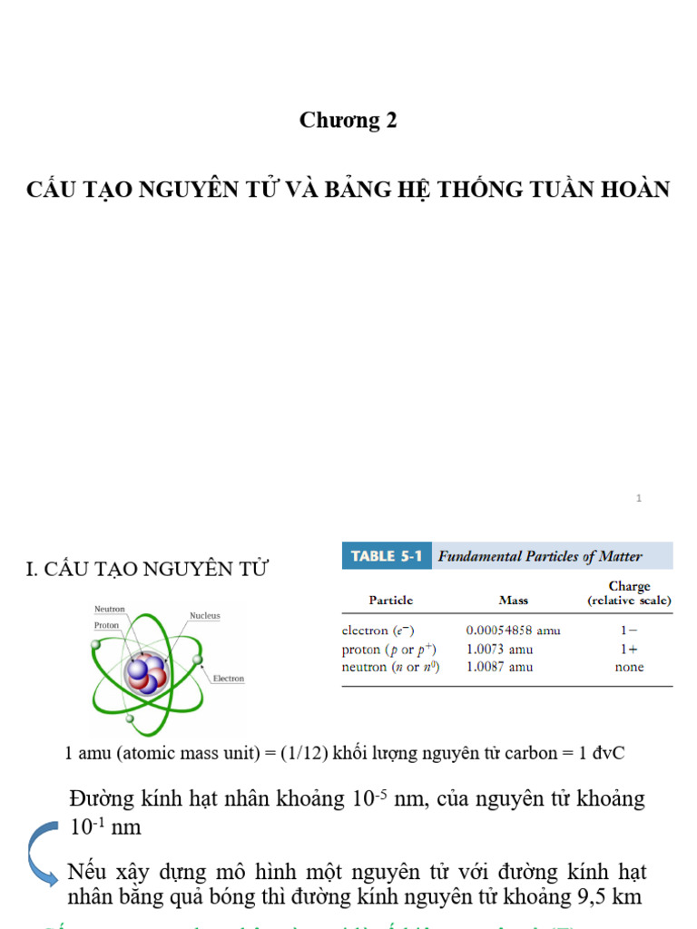 Cau Tao Cuu Chuong