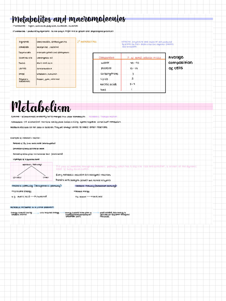 Biomolecules notes | PDF