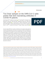 Two Linear Epitopes On The SARS-CoV-2 Spike