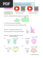 Similar Shapes Area Volume 1