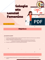 Embriologia Ap Genital Ipn Compartido