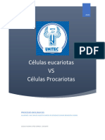 Procariotas VS Eucariotas Ichg & GZBJ