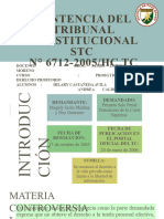 Diapositiva Grupal Sentencia Del Tribunal Constitucional 6712-2005