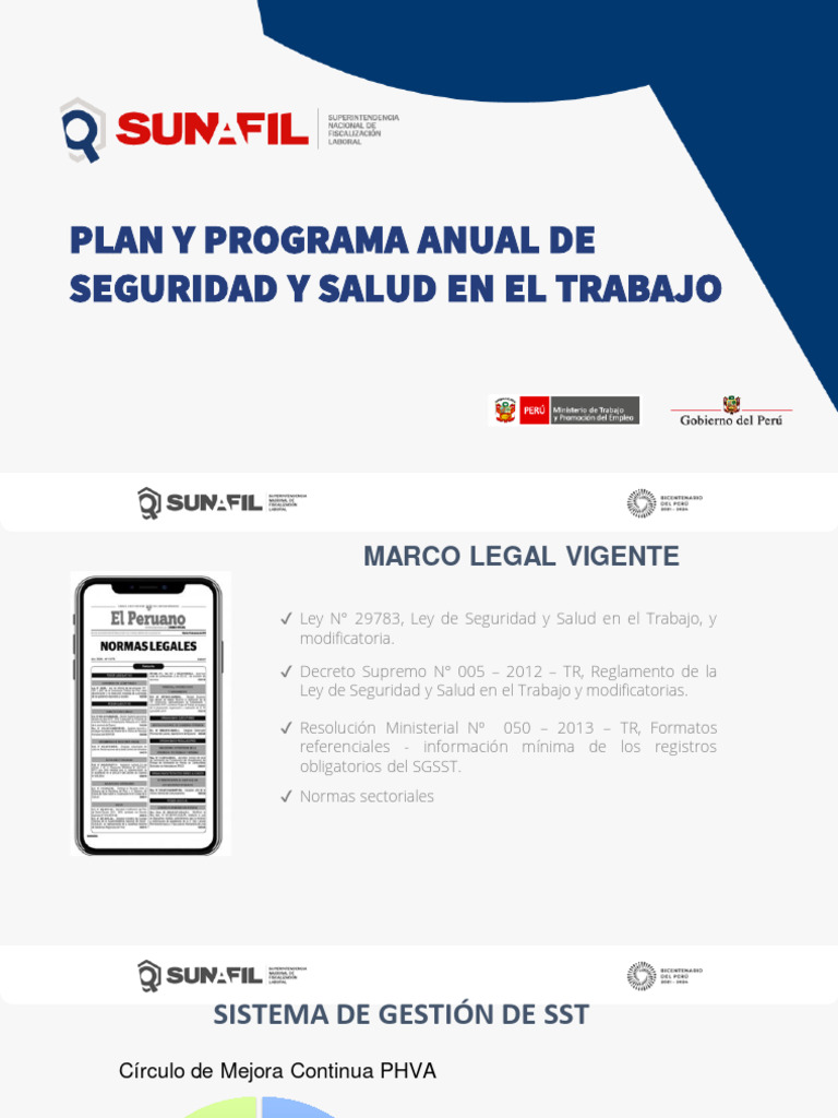 Plan Anual SSLT | PDF | Presupuesto