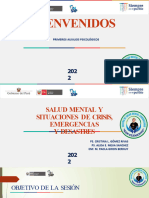 Taller. Salud Mental y Situaciones de Crisis, Emergencias y Desastres - 1ER TALLER