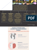 Etapa 2: Diagnóstico de Enfermería