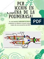 PCR (Cadena de L Polimerasa