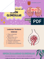 Bases Morfológicas de La Lesión Glomerular