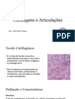 Sistema Articular