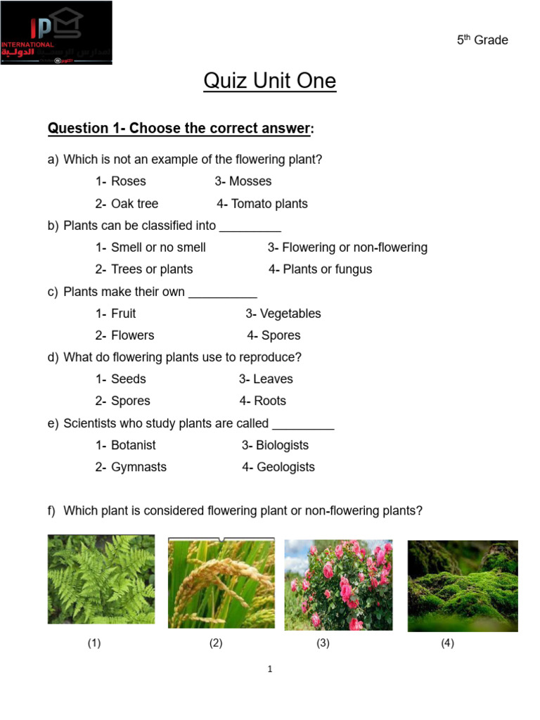 Quiz on Flowering vs Non-Flowering Plants | PDF | Wellness