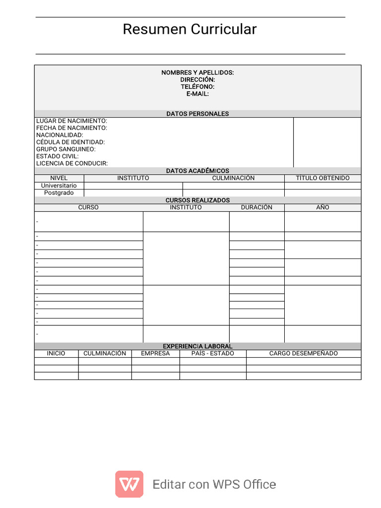 RESUMEN CURRICULAR Modelo PDF - 1703083033