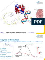 Enzymes Biochemie Vorlesung