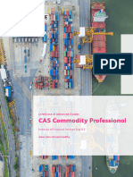 Flyer CAS Commodity Professional