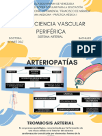 Insuficiencia Vascular Periférica (Sistema Arterial)
