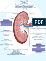 RENAL