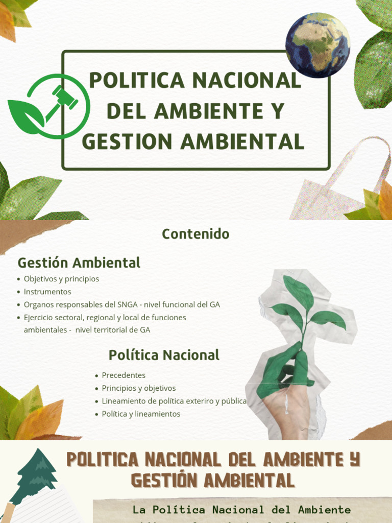 Politica Nacional Del Ambiente | PDF | Entorno natural | Naturaleza