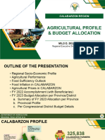 Regional-Provincial-Agri Profile (Rizal) - As of March 3, 2023