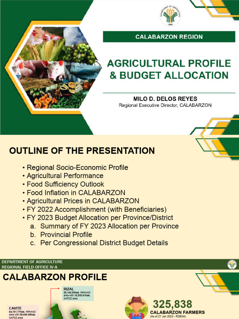 Regional-Provincial-Agri Profile (Rizal)-as of March 3, 2023 | PDF ...