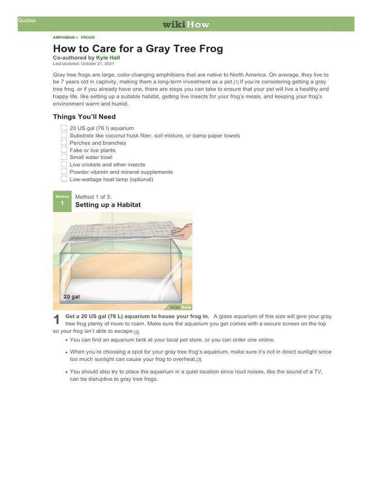 Care for a Gray Tree Frog | PDF | Frog | Aquarium