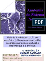 Anatomia Sistema Nervoso Central e Perifrico