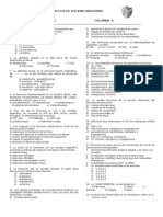 Practica de Sistema Endocrino