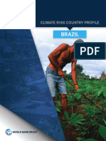 15915-WB - Brazil Country Profile-WEB