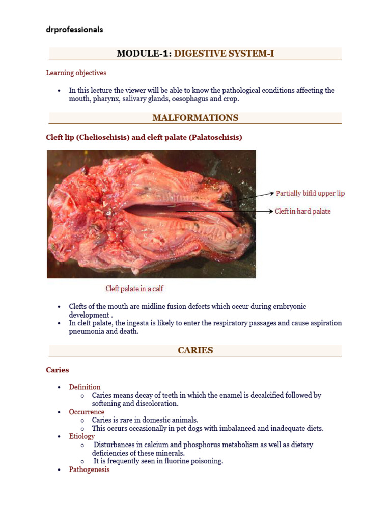 Systemic pathology tanuvas pdf