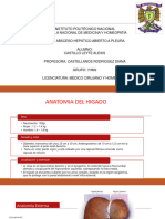 PDF Hep