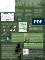 Boreal Forest Infographic