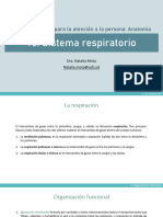 FISIOLOGIA Ig C23-24 - T6 Sistema Respiratorio