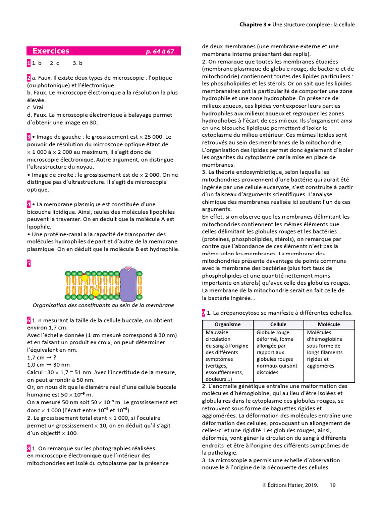 Enseignement Scientifique 1re - Corrigé Exercices Fiche 1 | PDF