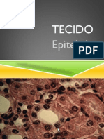 Tecido Epitelial Trabalho de Biologia