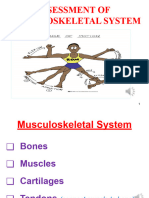 Assessment of Musculoskeletal System