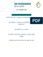 Lic - Derecho Garantías de Seguridad Jurídica