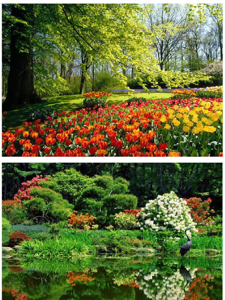 Imagini Colorate | PDF