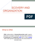 DNA Discovery and Organization