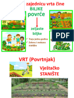MO VRT - Povrtnjak PDF