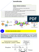 Tema 6. - Ácidos Nucleicos