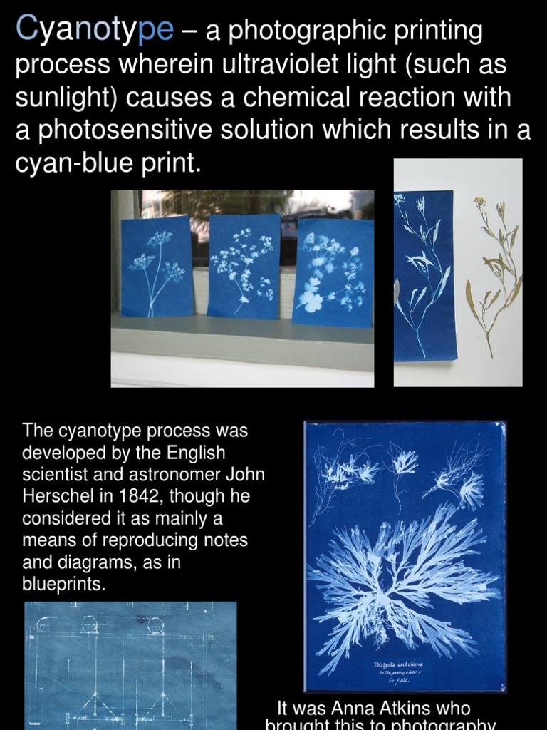 Cyanotype Photography Process Guide | PDF