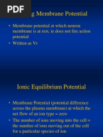 Action Potential Flowchart Explained | PDF | Action Potential ...